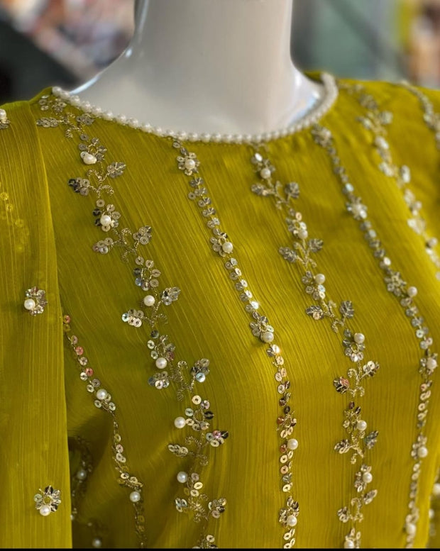 Frond And Back Both Side Heavy Sequence With Pearls Work On Shirt And Tassels,Lace Work On Sleeves,Shirt Border And Neck With Emb Dupatta 3Pcs